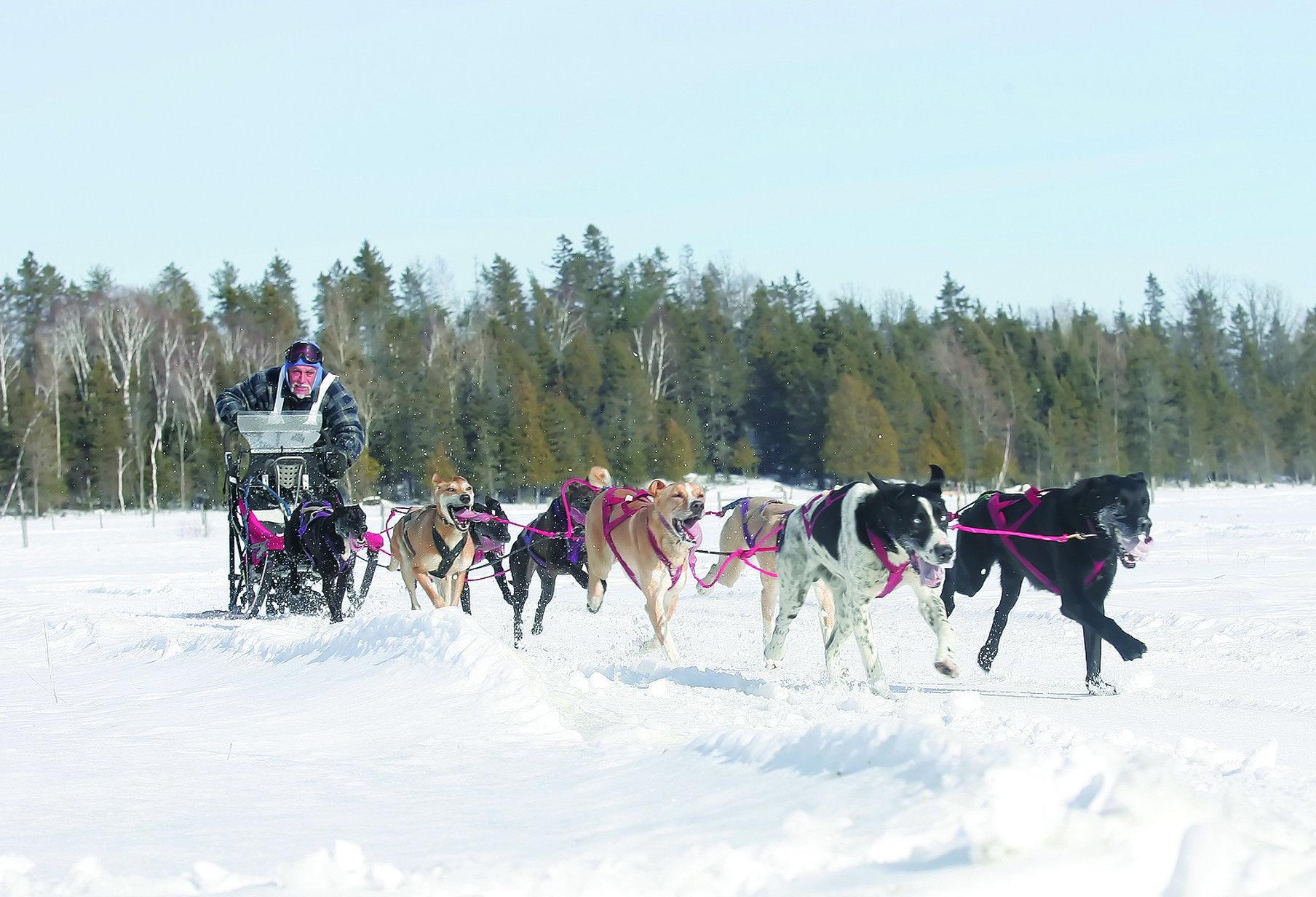 Holiday Inn Express And Suites Timmins By Ihg Bagian luar foto